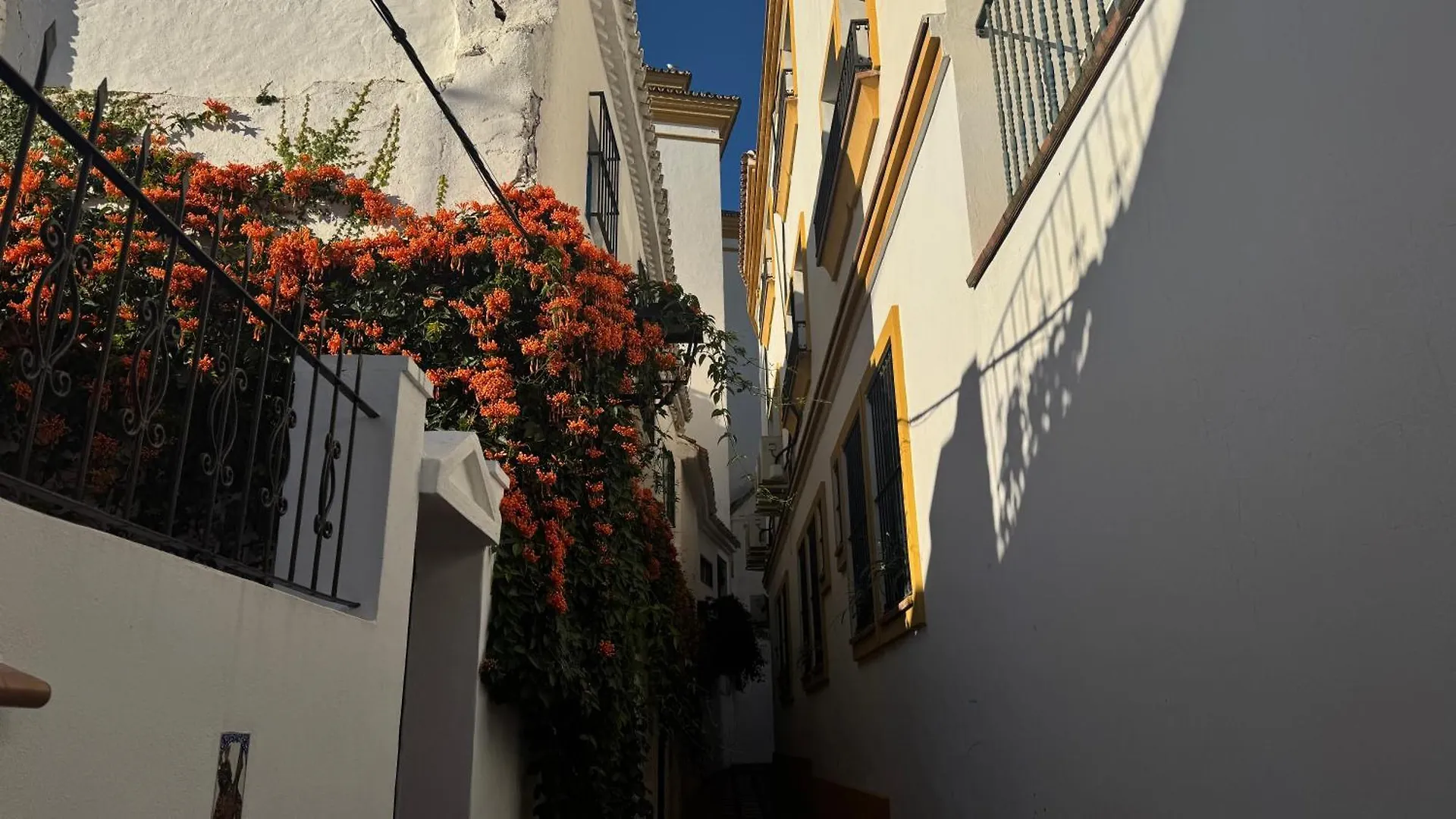 Oasis Jacuzzi Retreat Apartment Marbella