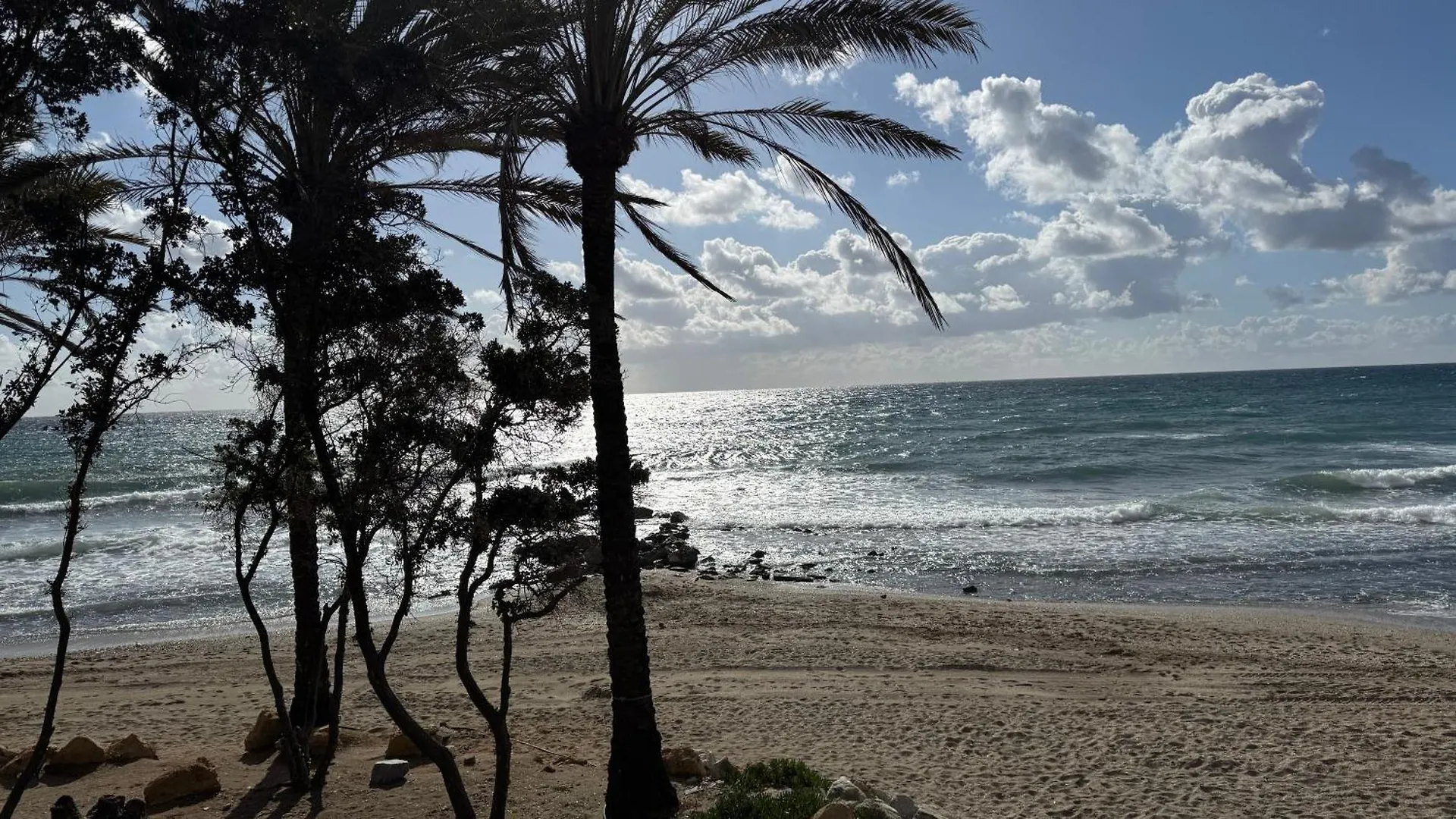 Oasis Jacuzzi Retreat Apartment Marbella